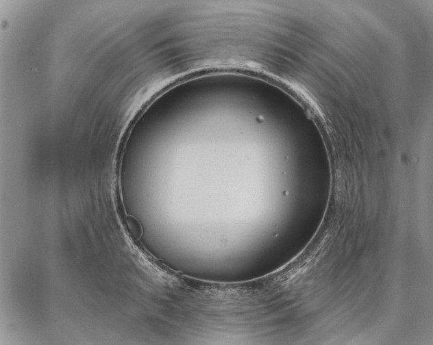 X0000086880895200704231100