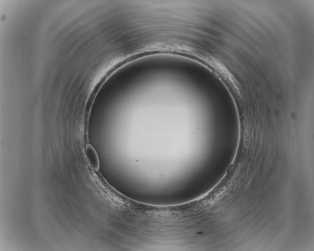 X0000086880896200704231100