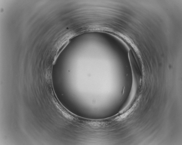 X0000086880897200704231100