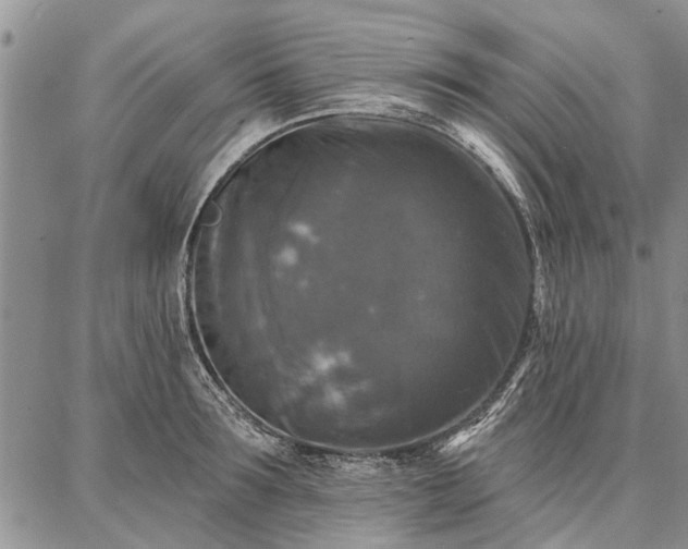 X0000086880899200704231100