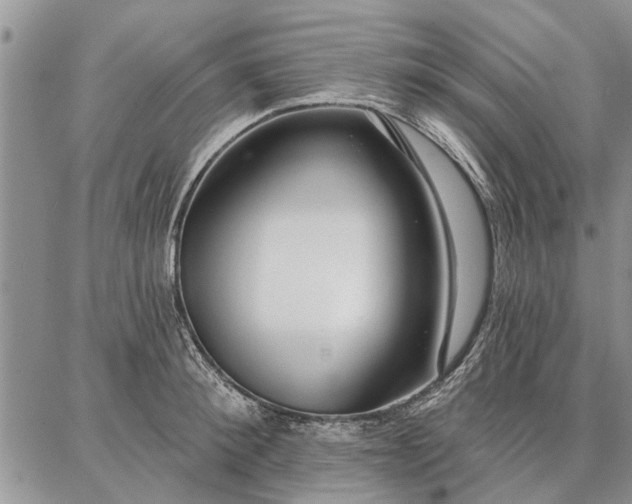 X0000086880900200704231100