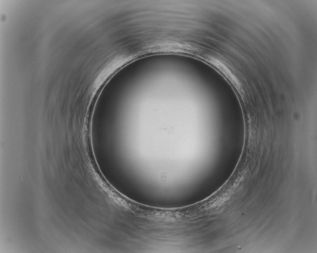 X0000086880901200704231100