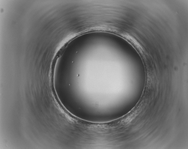 X0000086880902200704231100