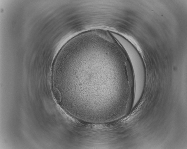 X0000086880903200704231100