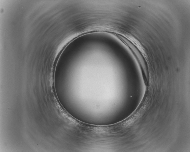 X0000086880904200704231100