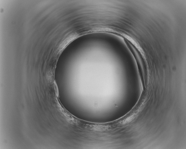 X0000086880905200704231100