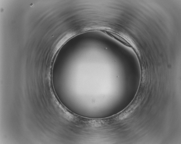 X0000086880906200704231100