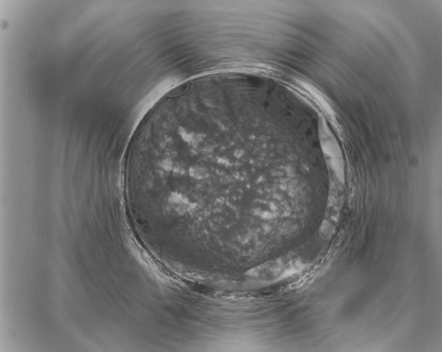 X0000086880907200704231100