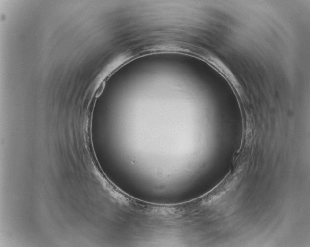 X0000086880909200704231100