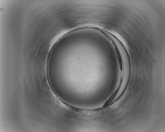 X0000086880910200704231100