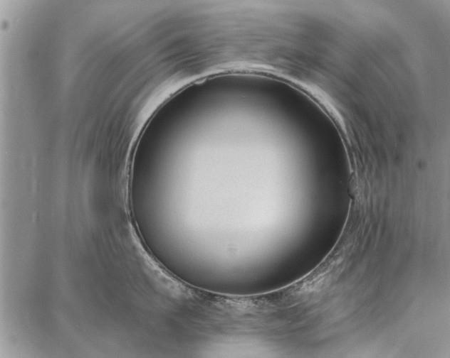 X0000086880911200704231100