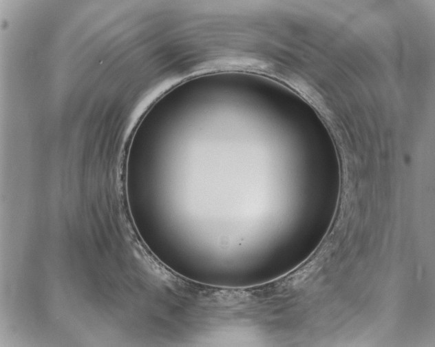 X0000086880912200704231100