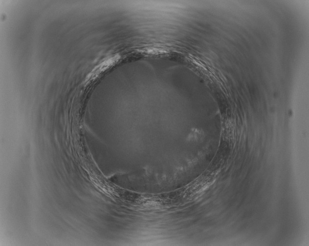 X0000086880913200704231059