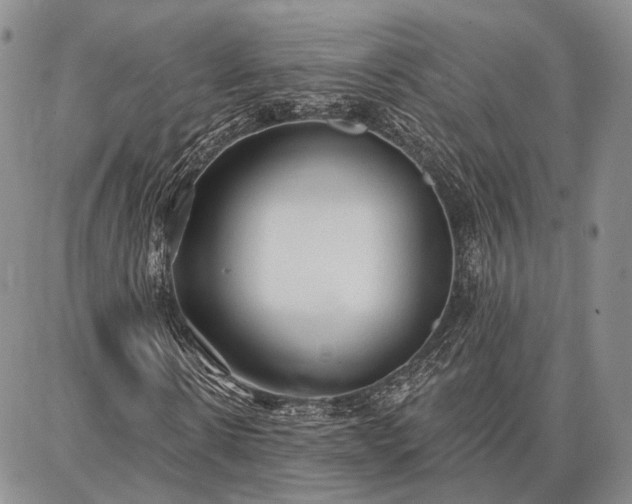 X0000086880914200704231059