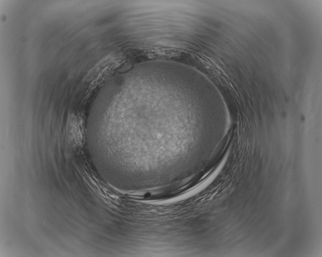 X0000086880915200704231059