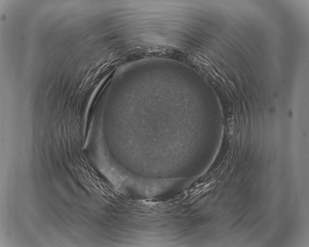 X0000086880916200704231059