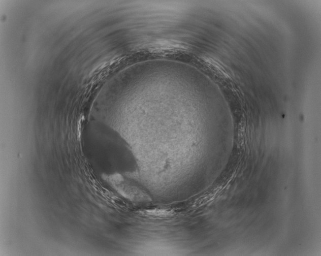 X0000086880917200704231059