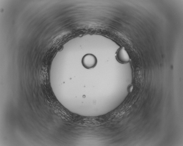 X0000086880918200704231059