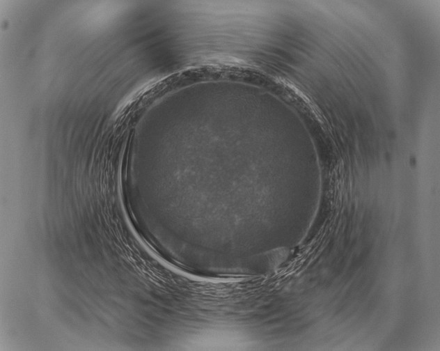 X0000086880919200704231059