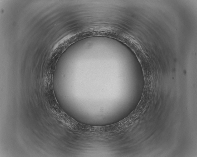 X0000086880920200704231059