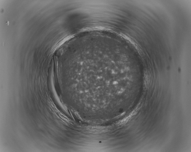 X0000086880921200704231059