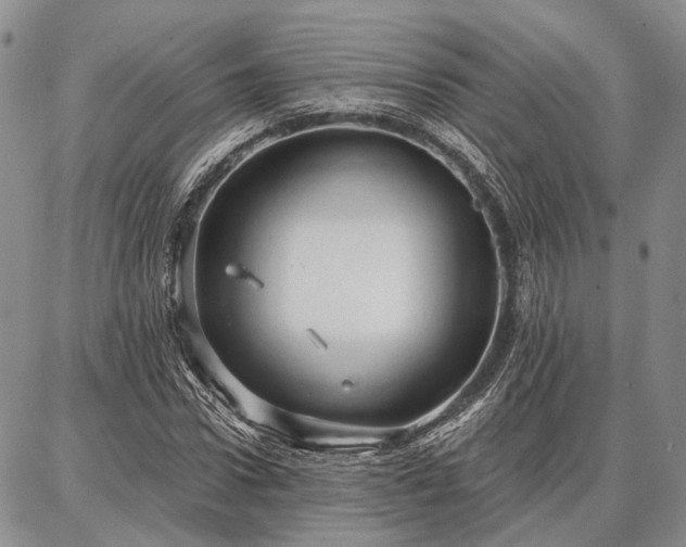 X0000086880922200704231059