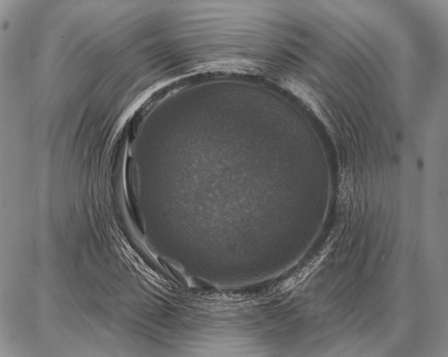 X0000086880923200704231059