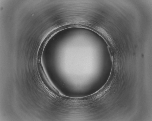 X0000086880924200704231059