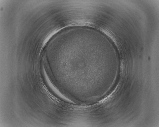 X0000086880925200704231059