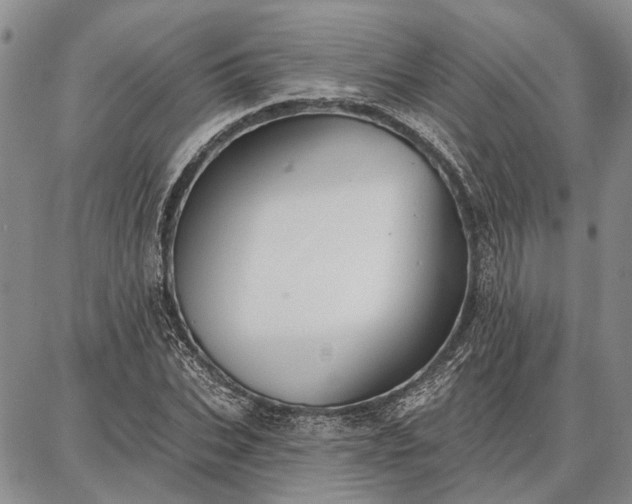 X0000086880927200704231059