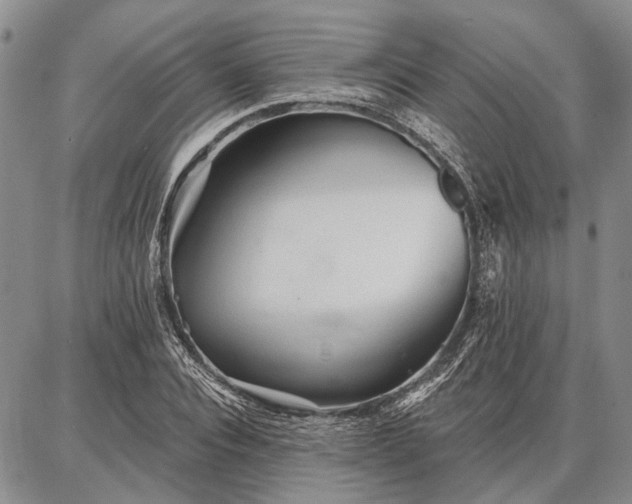 X0000086880928200704231059