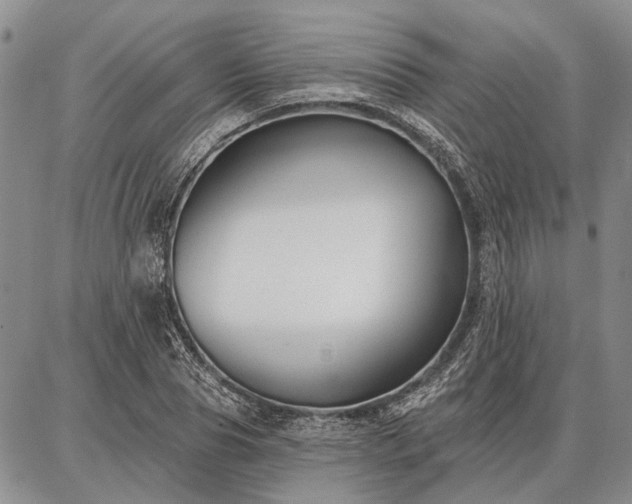 X0000086880929200704231059