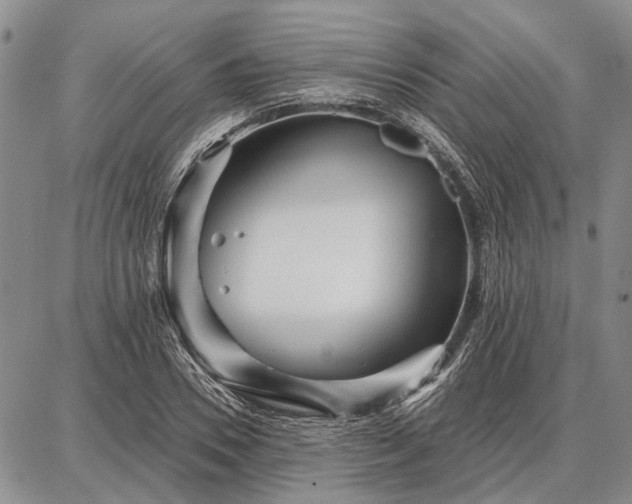 X0000086880930200704231059