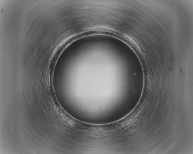 X0000086880931200704231059