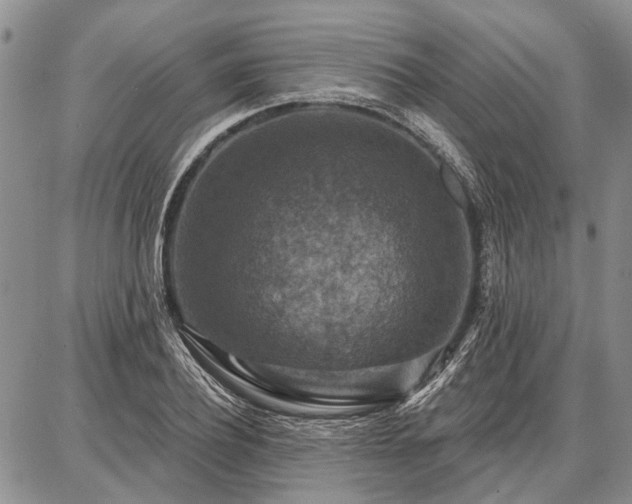 X0000086880932200704231059