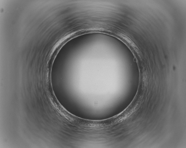 X0000086880933200704231059