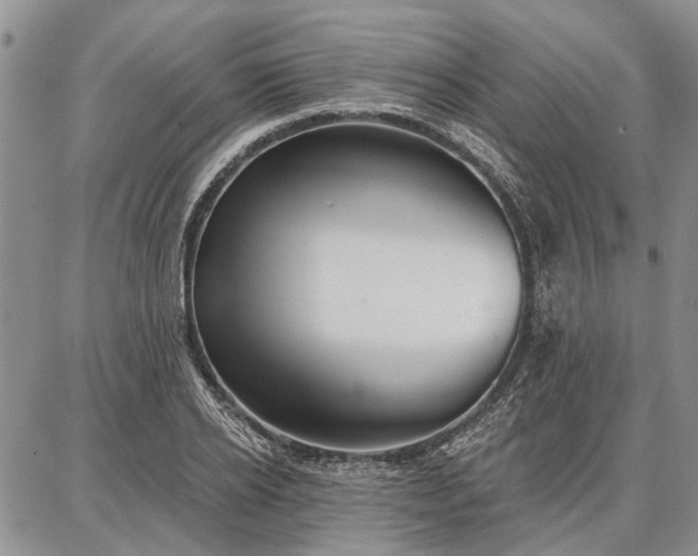 X0000086880934200704231059