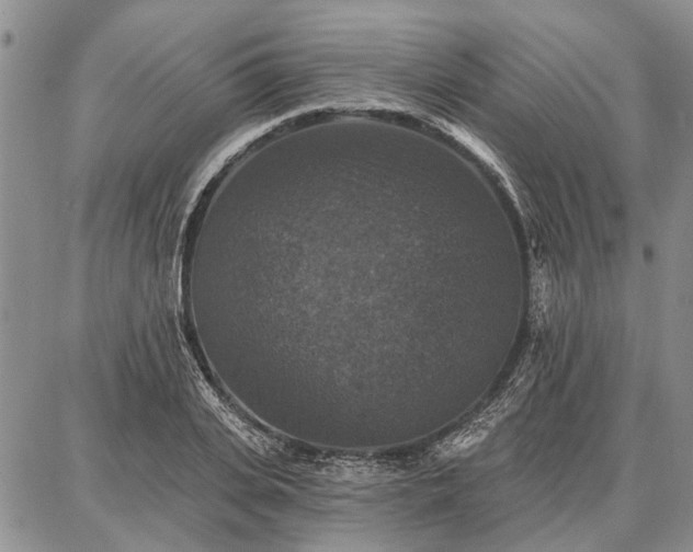 X0000086880935200704231059