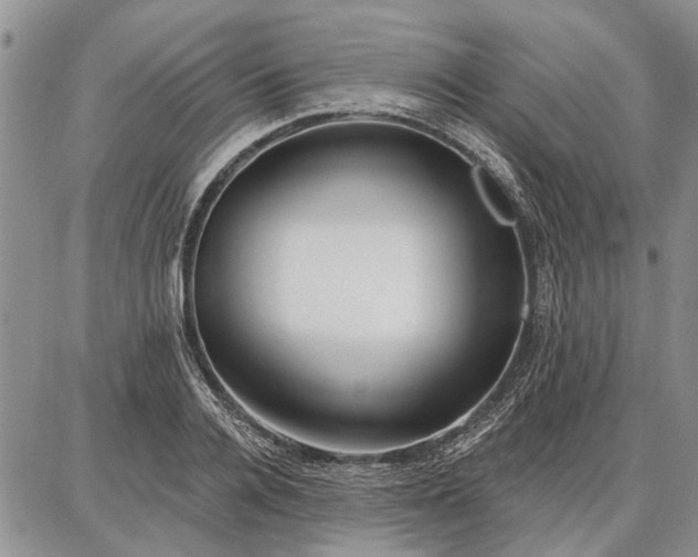 X0000086880936200704231059