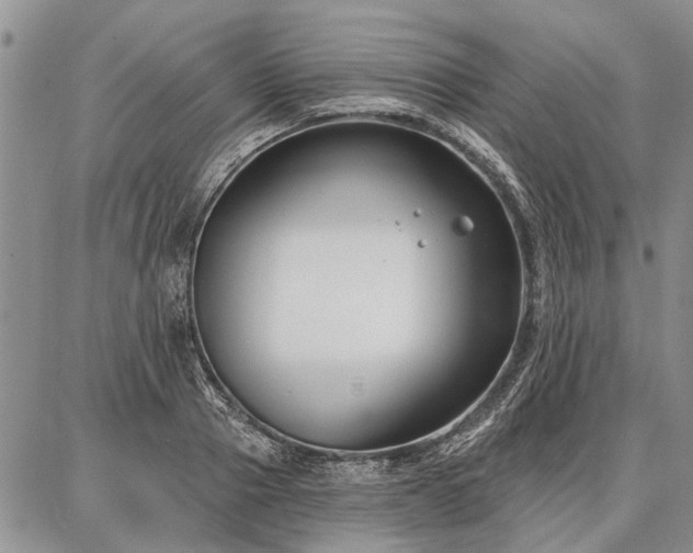 X0000086880937200704231059