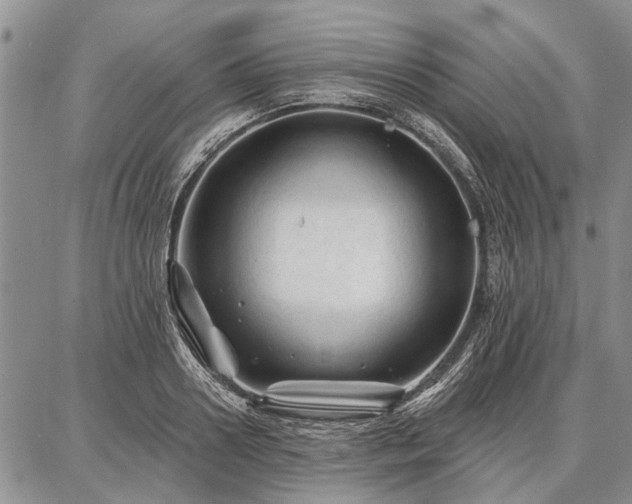 X0000086880938200704231059