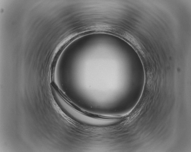 X0000086880939200704231059