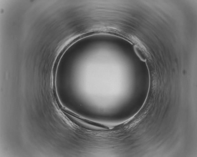 X0000086880940200704231059