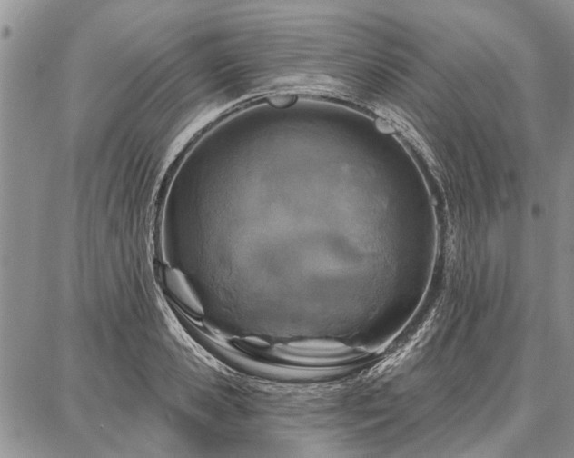 X0000086880941200704231059