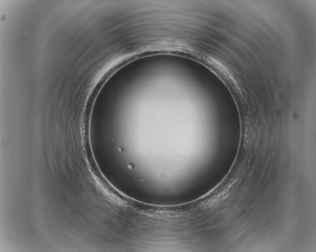 X0000086880942200704231059