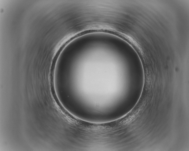 X0000086880943200704231059