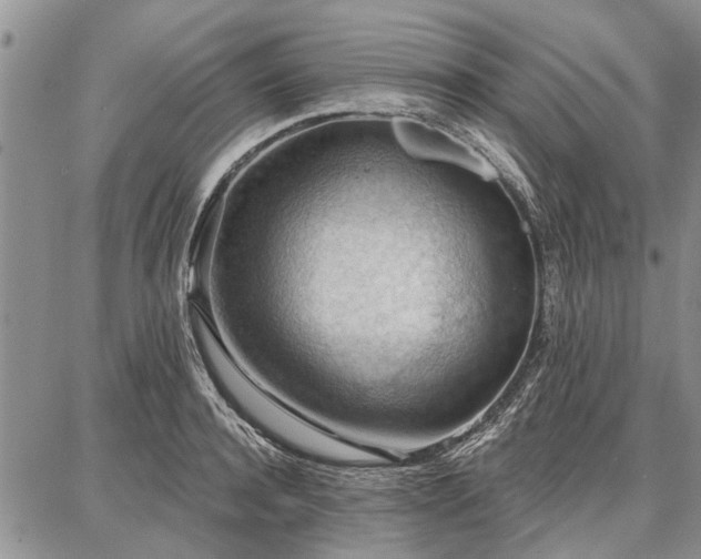 X0000086880944200704231059