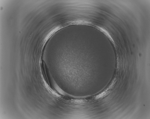 X0000086880946200704231059