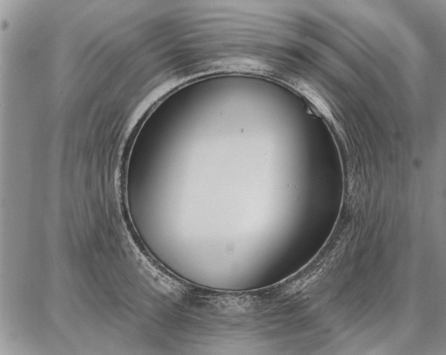 X0000086880947200704231059