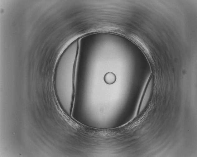 X0000086880948200704231059